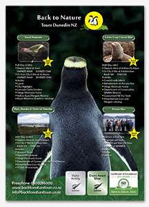 Di
ptych brochure design